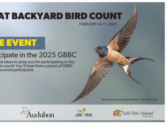 Great Backyard Bird Count