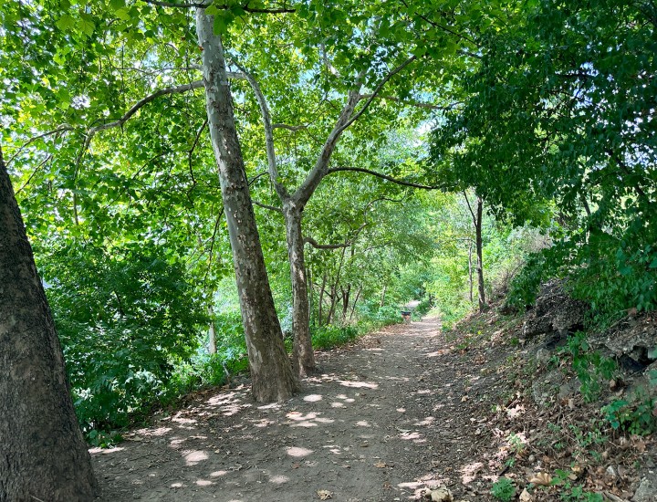 North End Lower Trail