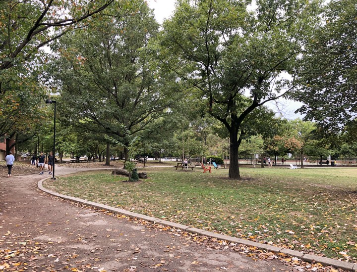 Schuylkill River Park