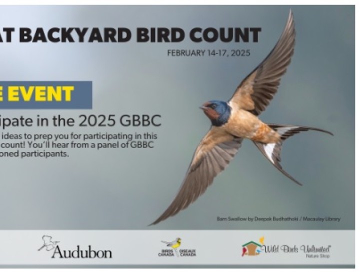 Great Backyard Bird Count